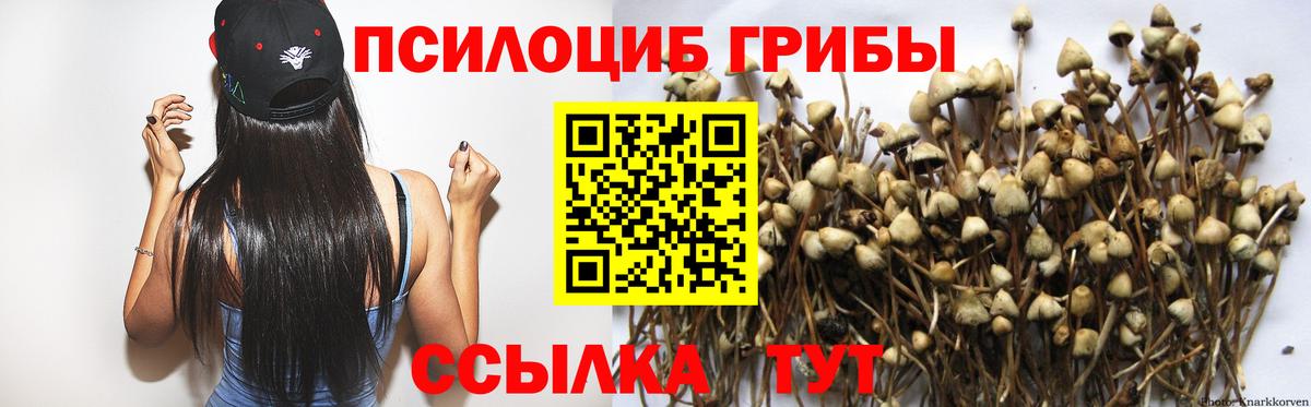 Псилоцибиновые грибы Cubensis  Вход с VPN  Артёмовский 